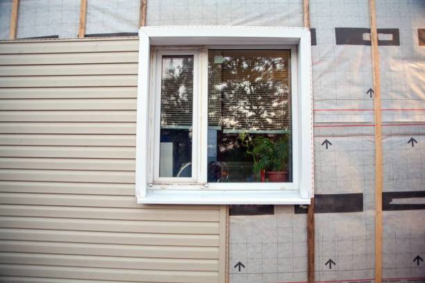 Best Custom Trim and Detailing for Siding  in Drexel, NC