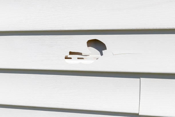 Best Fascia and Soffit Installation  in Drexel, NC